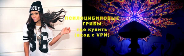 прущие грибы Бронницы