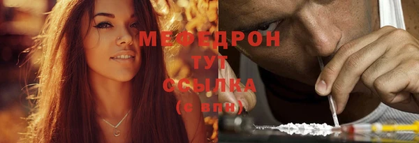мдпв Бородино
