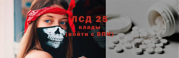 прущие грибы Бронницы