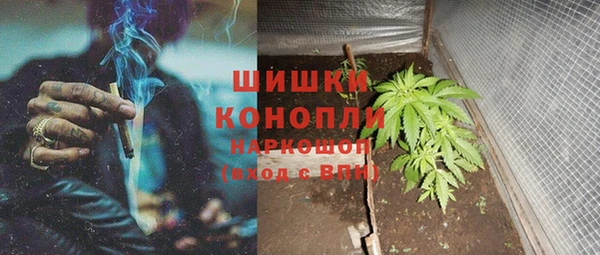 мдпв Бородино