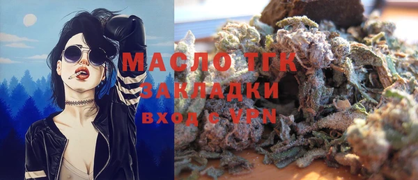 мдпв Бородино