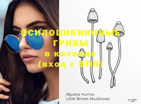 мдпв Бородино