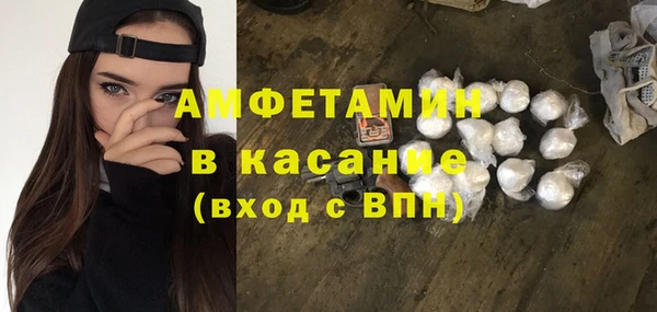 прущие грибы Бронницы