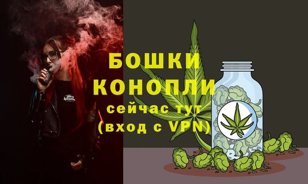 прущие грибы Бронницы