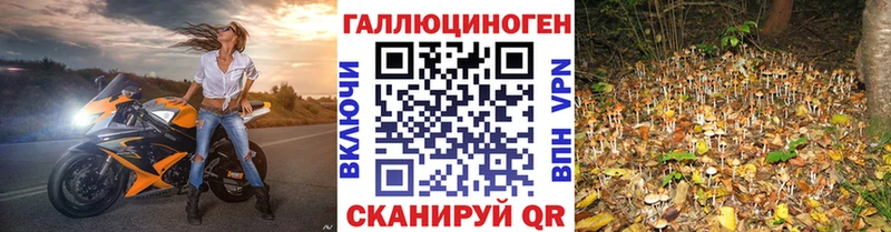 Галлюциногенные грибы мухоморы где найти наркотики Симферополь